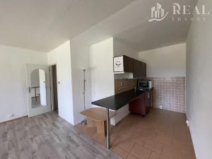 Prodej bytu 1+kk, Teplice - Trnovany, Krušnohorská, 34 m2