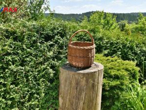 Prodej chalupy, Horní Olešnice - Ždírnice, 104 m2