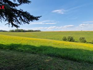 Prodej chalupy, Horní Olešnice - Ždírnice, 104 m2