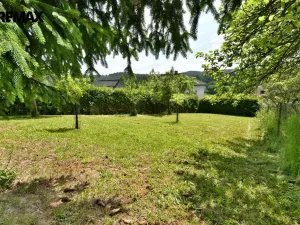 Prodej chalupy, Horní Olešnice - Ždírnice, 104 m2