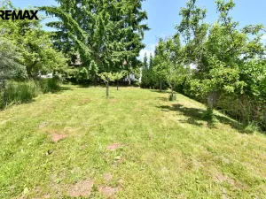 Prodej chalupy, Horní Olešnice - Ždírnice, 104 m2