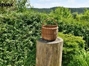 Prodej chalupy, Horní Olešnice - Ždírnice, 104 m2