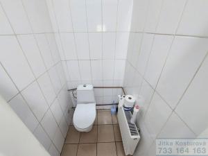 Pronájem výrobních prostor, Krnov - Pod Bezručovým vrchem, Hlubčická, 754 m2