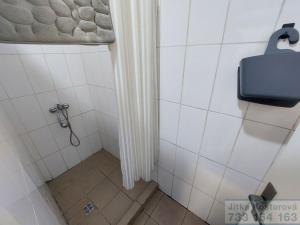 Pronájem výrobních prostor, Krnov - Pod Bezručovým vrchem, Hlubčická, 754 m2