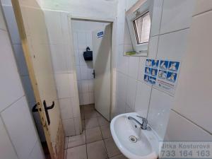 Pronájem výrobních prostor, Krnov - Pod Bezručovým vrchem, Hlubčická, 754 m2