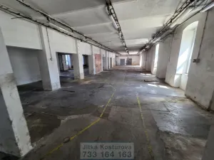 Pronájem výrobních prostor, Krnov - Pod Bezručovým vrchem, Hlubčická, 533 m2