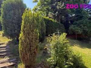 Prodej rodinného domu, Vejprty, Husova, 200 m2