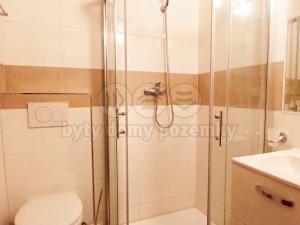 Pronájem bytu 1+kk, Humpolec, Masarykova, 20 m2