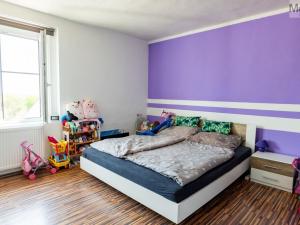 Prodej vícegeneračního domu, Litvínov - Chudeřín, Podkrušnohorská, 300 m2