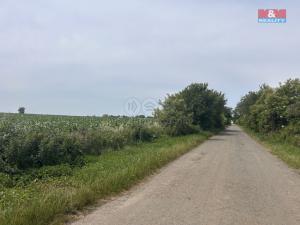 Prodej pole, Prostějov - Žešov, 8491 m2