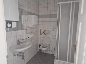 Pronájem kanceláře, Praha, Myslíkova, 424 m2