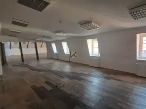 Pronájem kanceláře, Praha, Myslíkova, 424 m2
