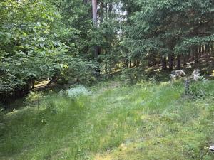 Prodej chaty, Borovnice, 75 m2