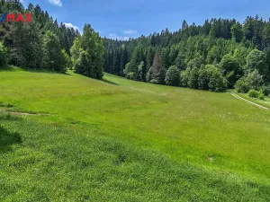 Prodej pozemku pro bydlení, Červená Voda, 7993 m2