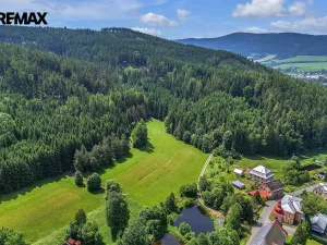 Prodej pozemku pro bydlení, Červená Voda, 7993 m2