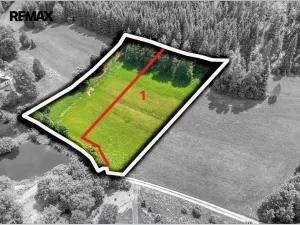 Prodej pozemku pro bydlení, Červená Voda, 3948 m2