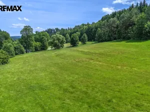 Prodej pozemku pro bydlení, Červená Voda, 4322 m2