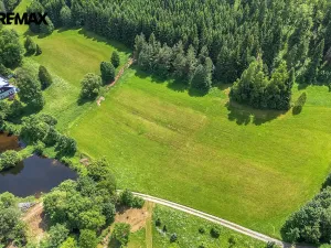 Prodej pozemku pro bydlení, Červená Voda, 4045 m2
