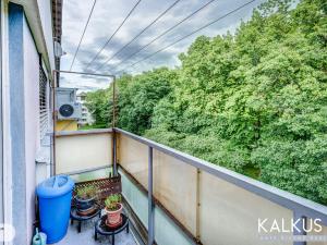 Prodej bytu 4+1, Hradec Králové - Pražské Předměstí, Jungmannova, 97 m2