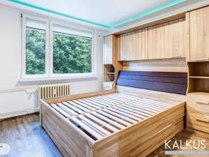Prodej bytu 4+1, Hradec Králové - Pražské Předměstí, Jungmannova, 97 m2