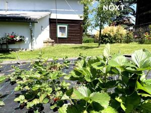Prodej rodinného domu, Labská Stráň, 160 m2