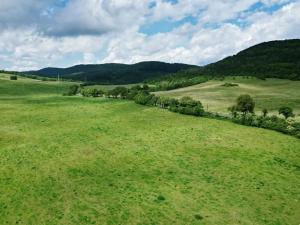 Prodej louky, Kadaň, 1427402 m2