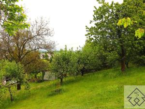 Prodej chaty, Jablonné nad Orlicí, U Vrby, 22 m2