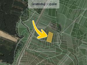 Prodej pole, Bzenec, 3029 m2