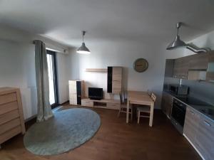 Pronájem bytu 1+kk, Praha - Žižkov, Olšanská, 37 m2