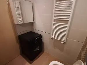 Pronájem bytu 1+kk, Praha - Žižkov, Olšanská, 37 m2