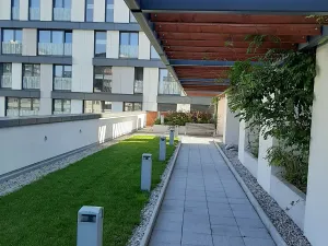 Pronájem bytu 1+kk, Praha - Žižkov, Olšanská, 37 m2