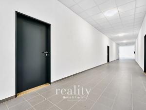 Pronájem obchodního prostoru, Znojmo, Kosmákova, 216 m2