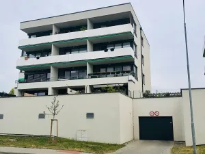 Pronájem bytu 2+kk, Olomouc, Loudova, 76 m2