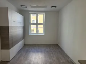 Pronájem bytu 1+kk, Praha - Nusle, Družstevní, 38 m2