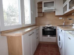Pronájem bytu 1+kk, Hradec Králové - Slezské Předměstí, Severní, 30 m2