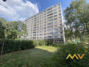 Pronájem bytu 1+kk, Hradec Králové - Slezské Předměstí, Severní, 30 m2