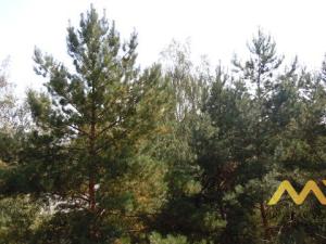 Pronájem bytu 1+kk, Hradec Králové - Slezské Předměstí, Severní, 30 m2