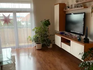 Pronájem bytu 3+kk, Olomouc, Mošnerova, 112 m2