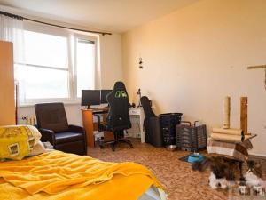 Prodej bytu 3+1, Šumperk, Zahradní, 74 m2