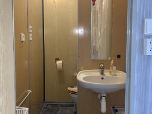 Pronájem bytu 1+kk, Karlovy Vary - Rybáře, U Koupaliště, 24 m2