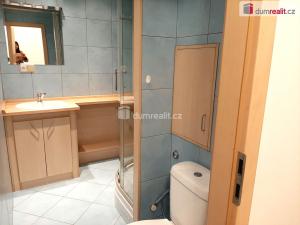 Pronájem bytu 2+1, Ústí nad Labem - Severní Terasa, Werichova, 66 m2