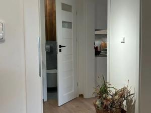 Prodej bytu 3+1, Ostrava, Francouzská, 65 m2
