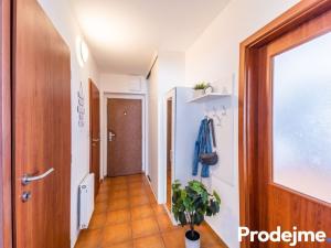 Prodej bytu 2+kk, Jihlava - Horní Kosov, Buková, 56 m2