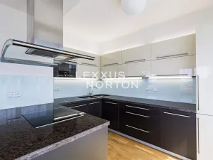 Pronájem bytu 4+kk, Praha - Vinohrady, Italská, 144 m2