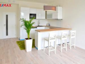 Pronájem bytu 2+kk, Praha - Smíchov, Strakonická, 59 m2