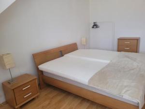 Pronájem bytu 3+1, Praha - Vinohrady, Rejskova, 106 m2