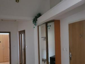 Pronájem bytu 3+1, Praha - Vinohrady, Rejskova, 106 m2