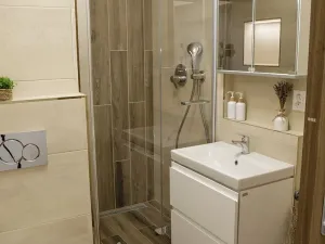Pronájem bytu 2+kk, Česká Lípa, Železničářská, 35 m2
