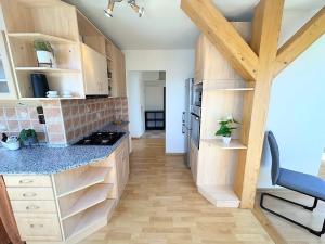 Pronájem bytu 2+kk, Jihlava, Pavlovova, 69 m2