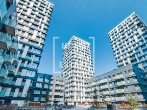 Pronájem bytu 2+kk, Praha - Žižkov, Olšanská, 71 m2